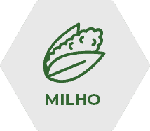 Fertimacro Fertilizantes - Óxidos de Cálcio e Magnésio - milho