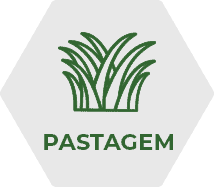 Fertimacro Fertilizantes - Óxidos de Cálcio e Magnésio - Pastagem - Culturas Fertimacro