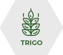 Fertimacro Fertilizantes - Óxidos de Cálcio e Magnésio - Trigo - Culturas Fertimacro