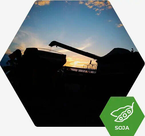 Fertimacro - Fertilizantes - Soja