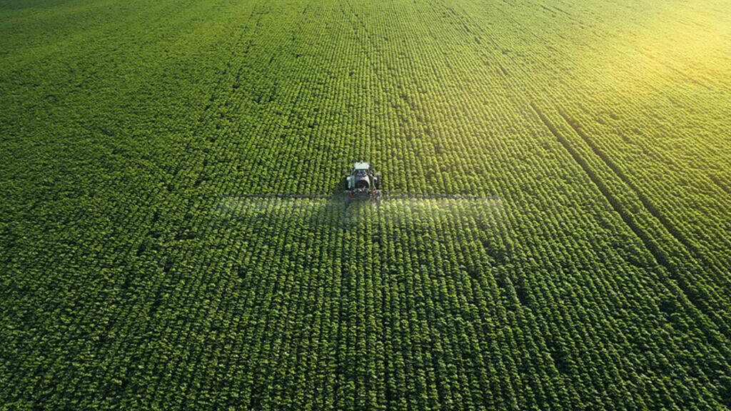 fertilizantes a base de óxidos na estiagem