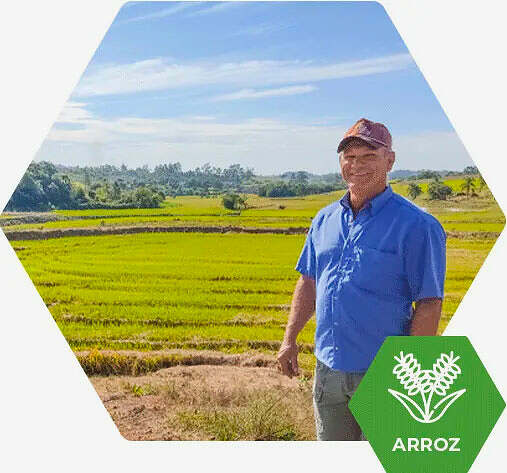 Fertimacro - Fertilizantes - Arroz