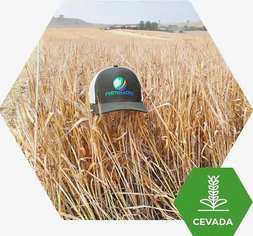 Fertimacro - Fertilizantes - Cevada