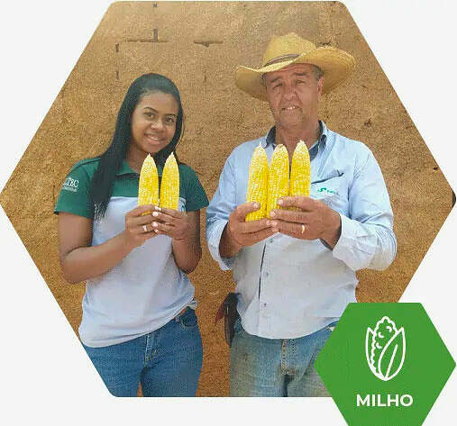 Fertimacro - Fertilizantes - Milho