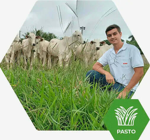 Fertimacro - Fertilizantes - Pasto