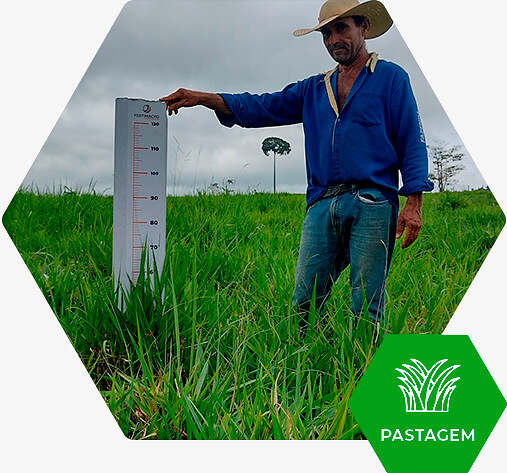 Produtor de Pasto